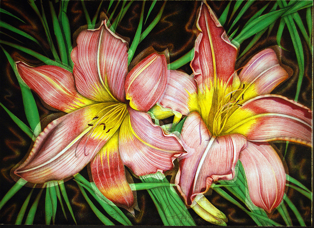 Day Lilies